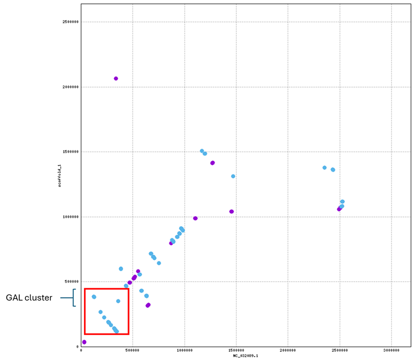 GAL cluster dotplot