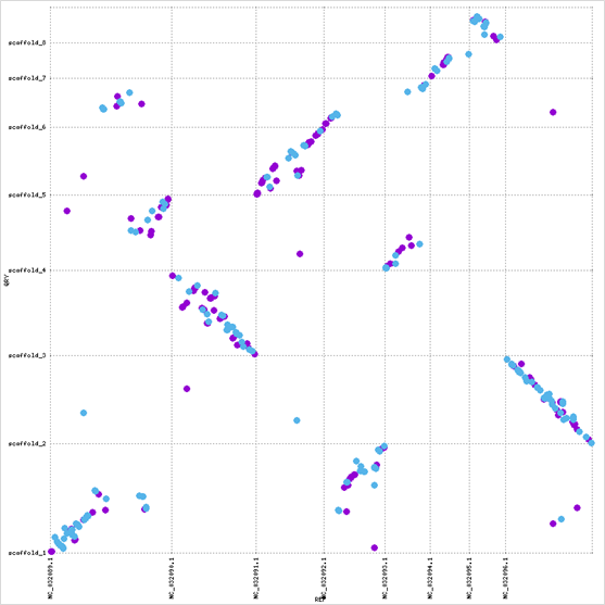 Genome Comparison