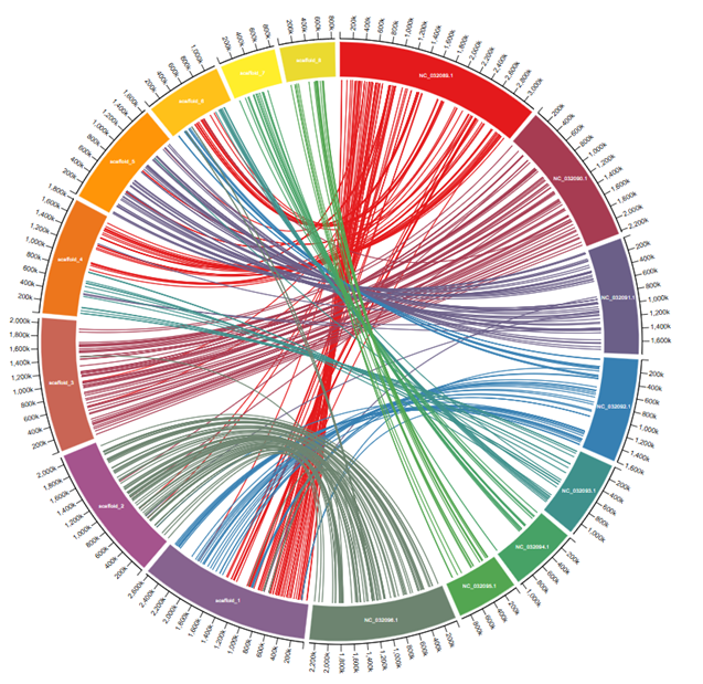 Circos plot of C. albicans vs S. cerevisiae