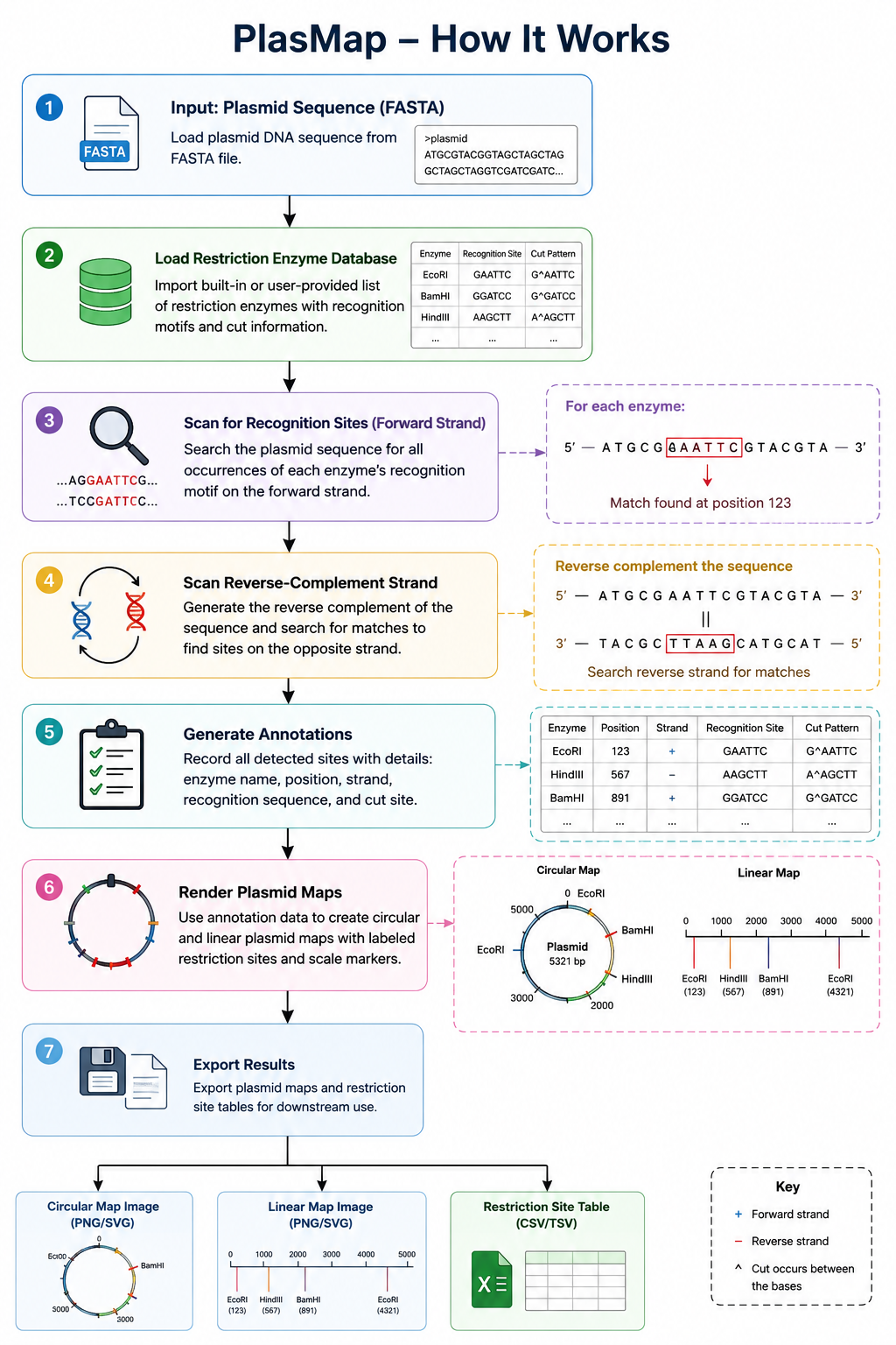 Program flowchart
