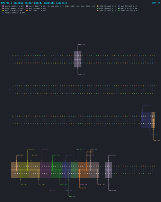 Program flowchart