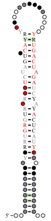 Secondary structure result